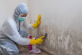 Best Industrial Mold Remediation  in Pawhuska, OK